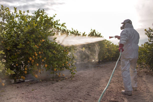 Wildlife Control Services in Crownpoint, NM